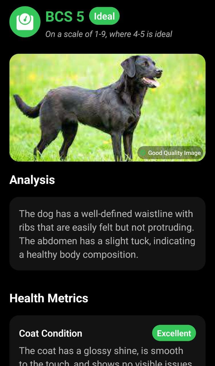 Body Condition Score